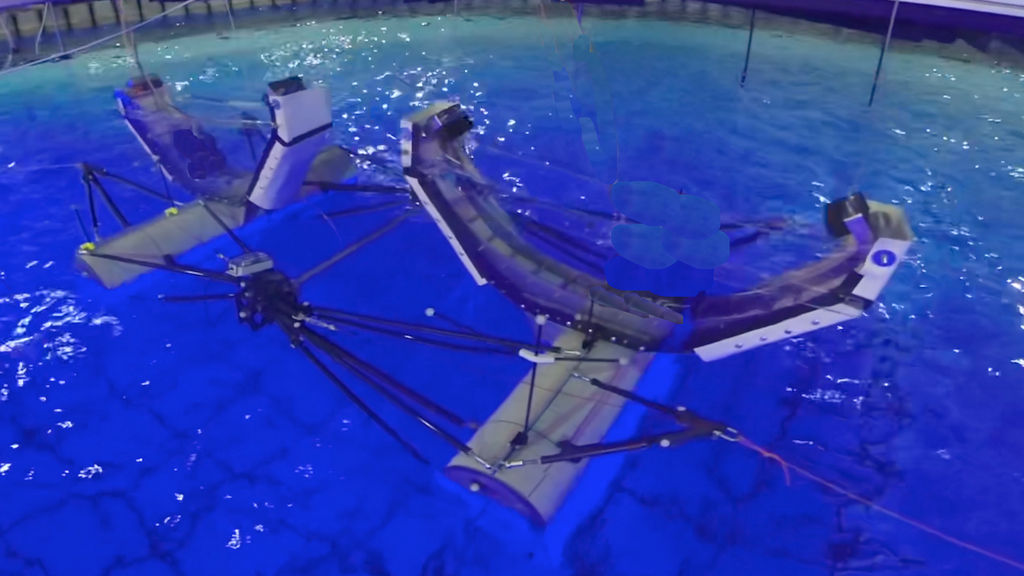 Model testing of Sea-Saw wave energy converter at FloWave (Courtesy of AMOG Consulting)