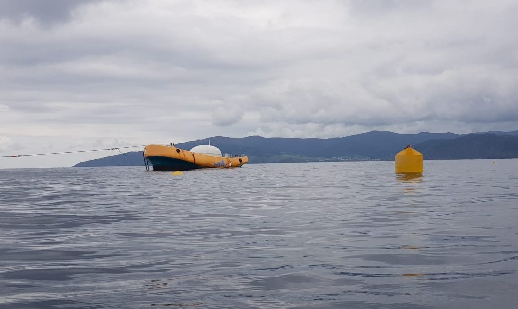 Wello sheds light on 5MW wave energy project in Barbados