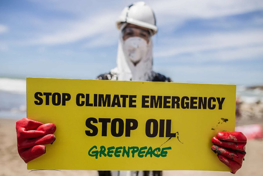 © Gabriel Bulacio/Greenpeace - Argentine Sea