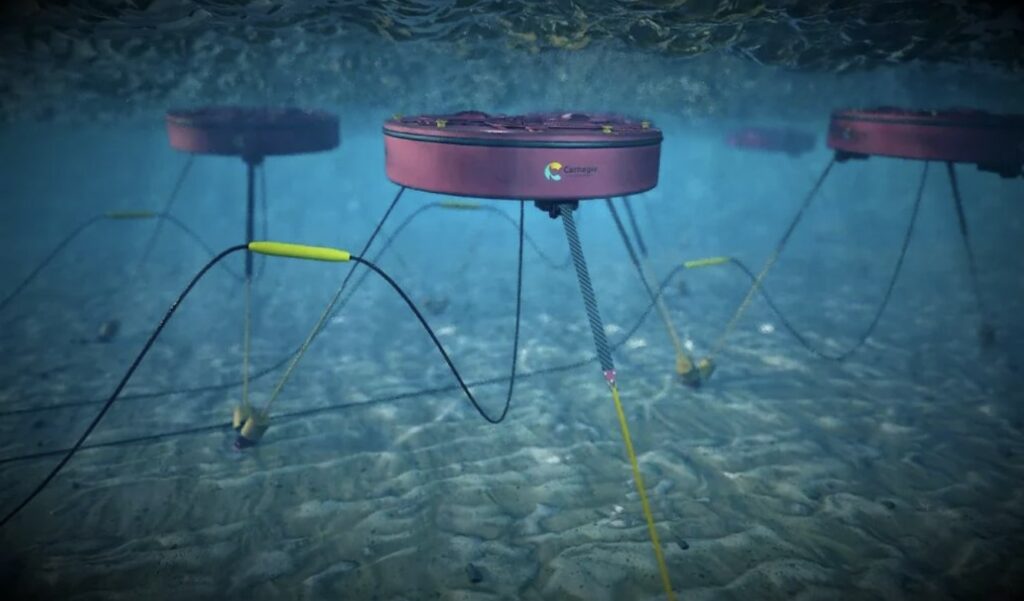 Illustration/CETO wave energy array