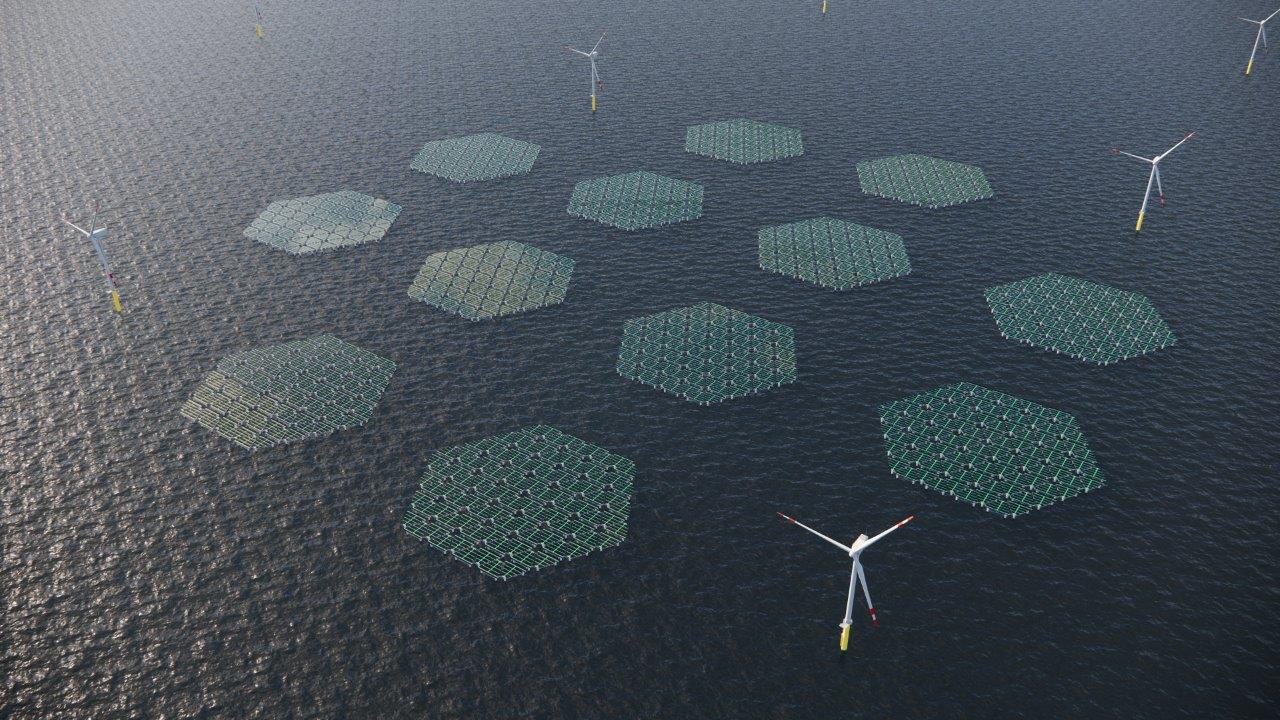 SolarDuck and the world's largest offshore floating solar power plant