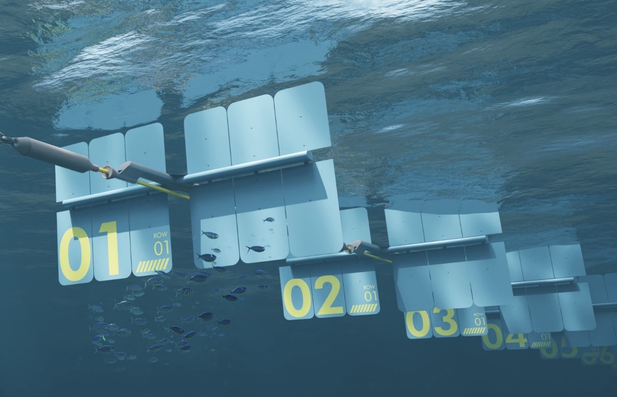 Wavepiston wraps up Barbados wave energy feasibility study