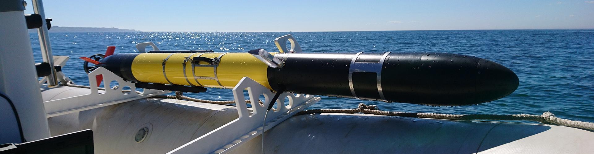 EU-backed SafeWAVE project, short for Streamlining the Assessment of Environmental Effects of Wave Energy, has been prolonged until December 2024.