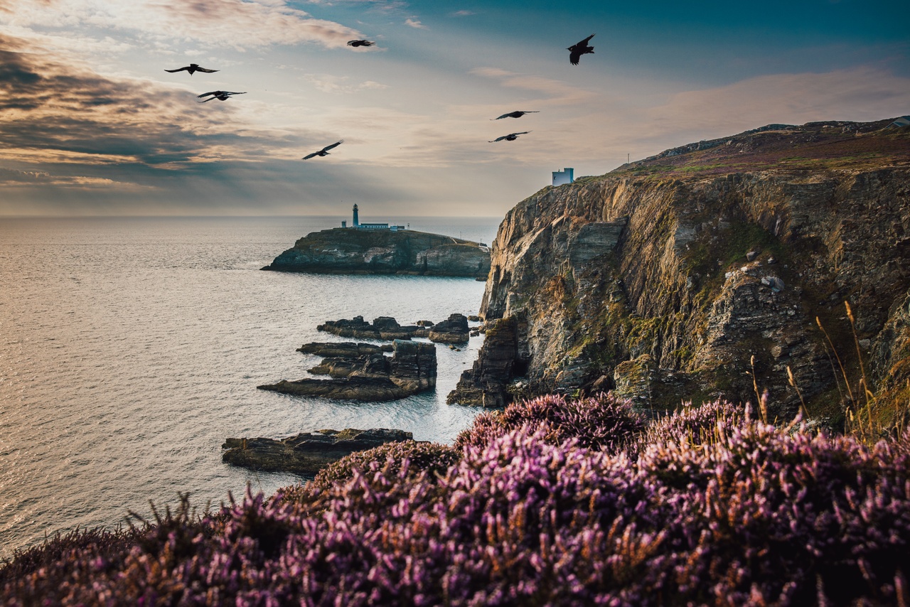 South Stack © Visit Wales