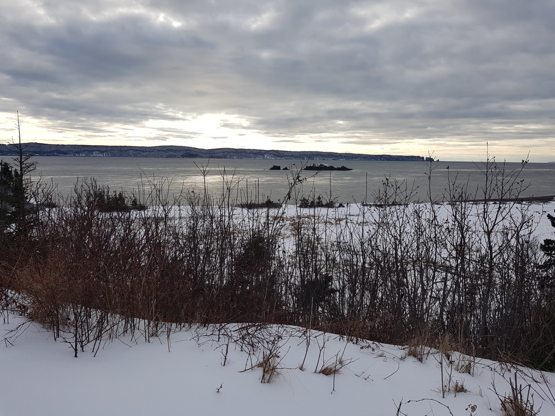 Minas Passage in the Bay of Fundy, Nova Scotia. Source: Inyanga Marine Energy Group