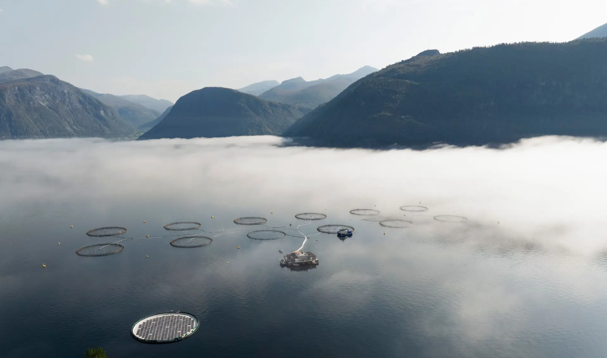 Alotta's floating solar power plant at Emilsen Fisk's facility in Båfjordstranda, Norway