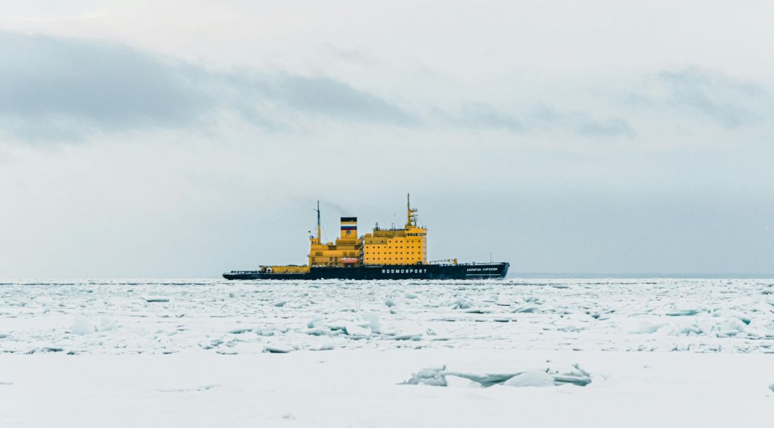 Arctic